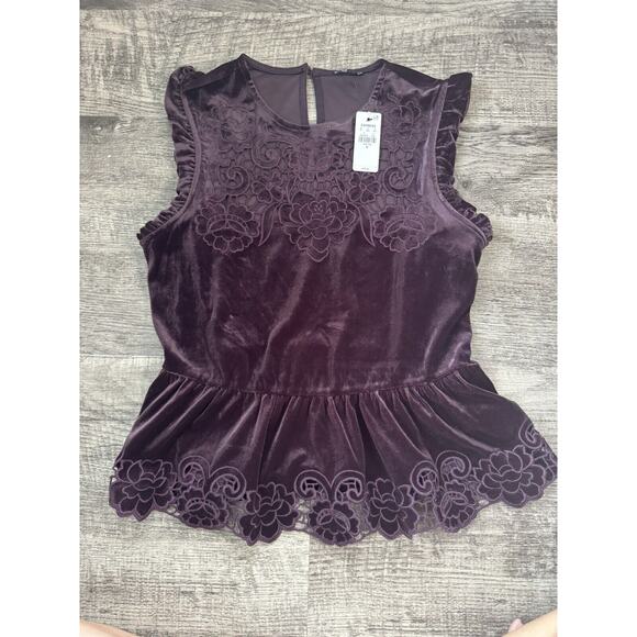 Express Velvet Crew Neck Lace Embroidered Peplum Top Size Medium Merlot $78 - Picture 3 of 11